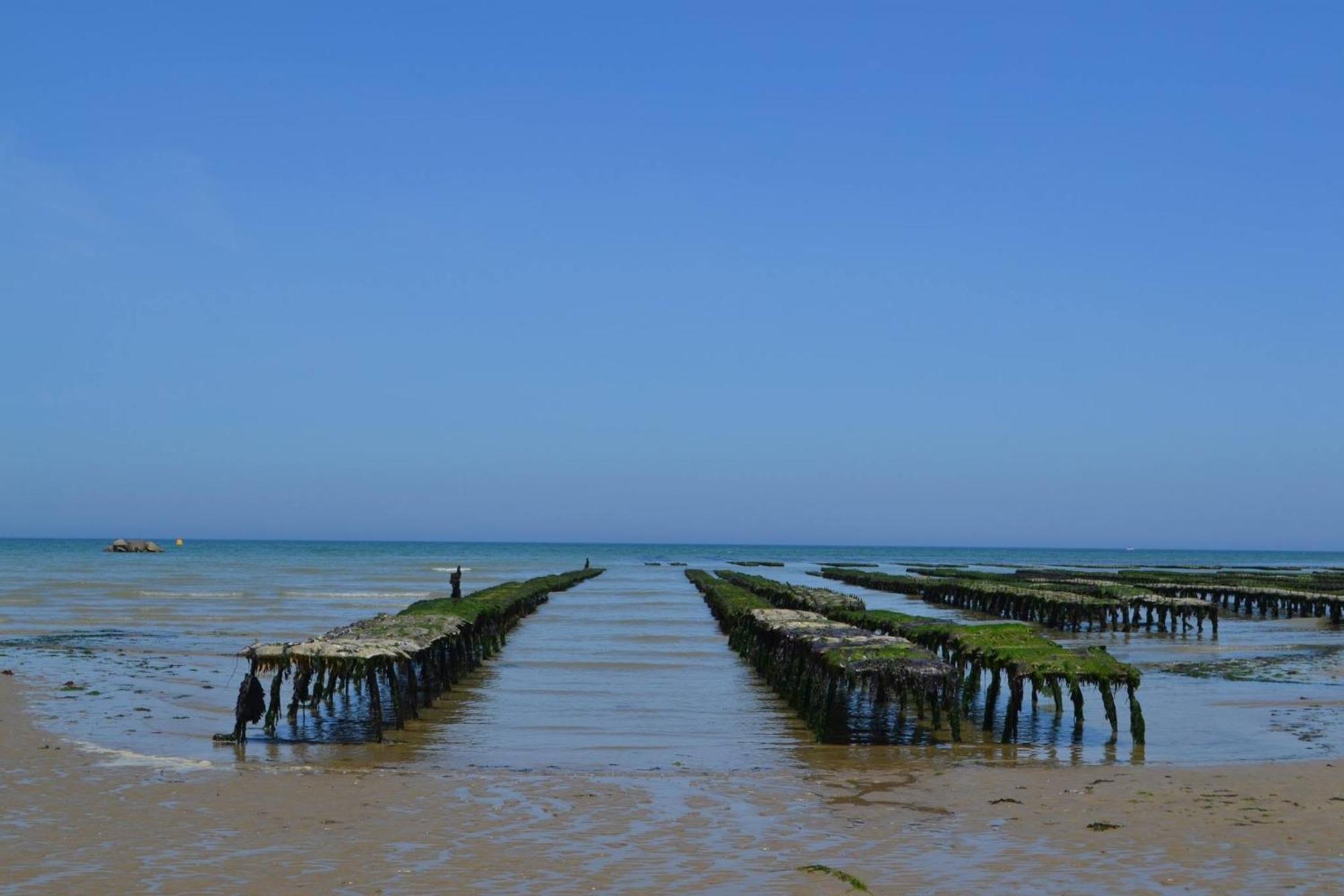 Nid De Pie Grand Duplex Lumineux Cadre Verdoyant Calme A 5 Mn De La Mer Pres Port En Bessin, Bayeux, Omaha Beach, Commes Ngoại thất bức ảnh